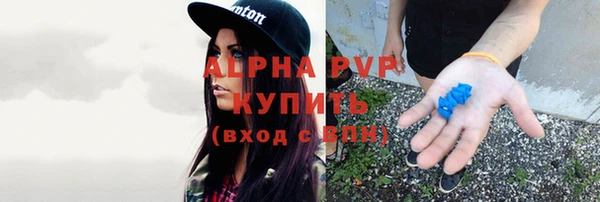 прущий лед Ельня