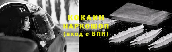 a pvp Дмитровск