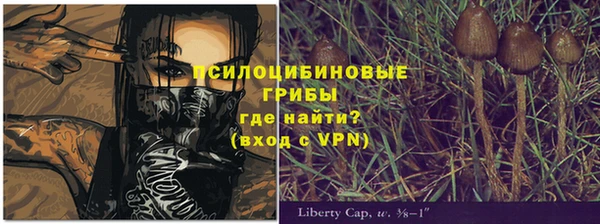 бутират Елабуга