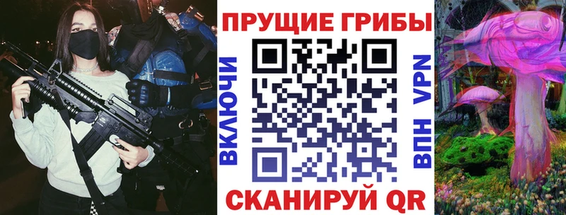 купить  сайты  Тюкалинск  Галлюциногенные грибы Psilocybe 
